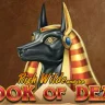 Book of Dead - BetWarrior Casino Argentina